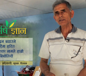 उत्पादन बढाउने लहलहैमा हरित क्रान्तिका नामले हाम्रो कृषि बिथोलियो || Chandra Prasad Adhikari